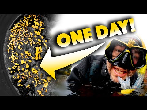 Have we found the BEST GOLD in the World?