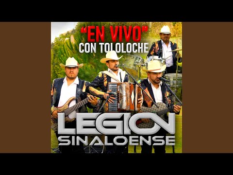 Para que Quieres que Vuelva