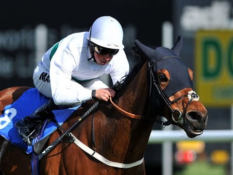 Goodwood Cup...NON RUNNER.