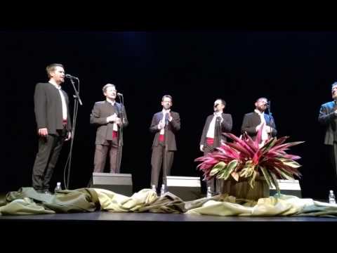 Klapa Šufit   Ne more srce kontra sebe   Šentjernej 18 02 2017