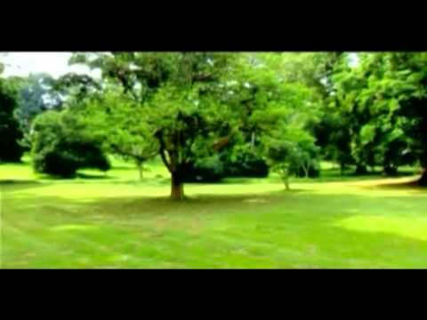 Michael Ross - NZE AKWAGALA (Official Video)