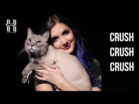 Paramore - CrushCrushCrush - Cover by Halocene