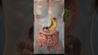 🍇 What Happens When You Eat Grapes Every Day? #medicalanimation #science #humanbody #lycopene