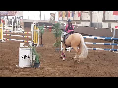 Malu (9) und Duebaree - ausgeschieden im A** in Bochum-Nord am 15.12.2018