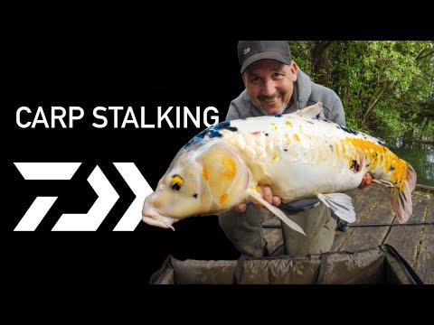Karpfen Stalking mit Arne Seiberlich