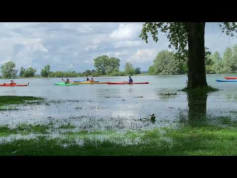 Hochwasser am Seerhein 16.06.2019 (Bodensee) #hochwasser