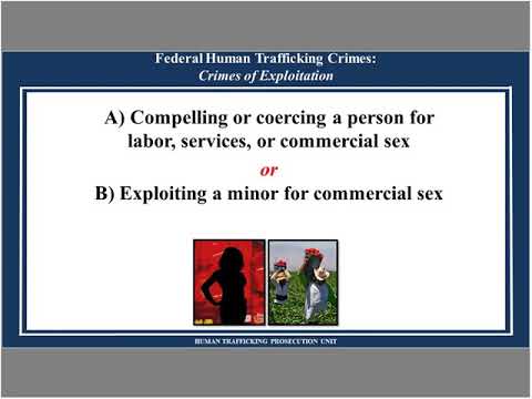 Combatting Human Trafficking Through Collaboration