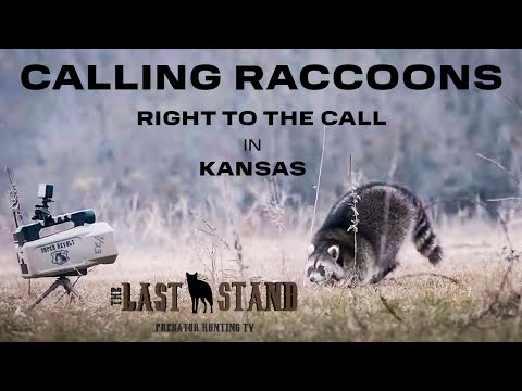 Calling Raccoons Right To The E-Caller | The Last Stand S6: E15