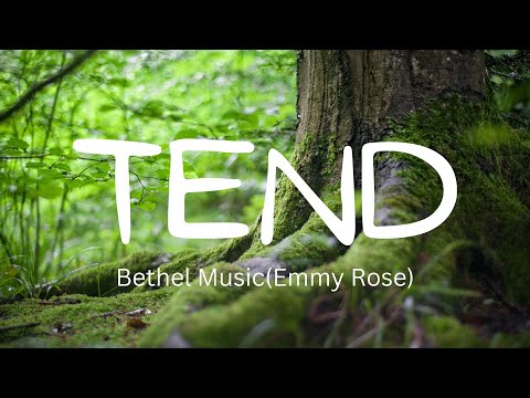 Tend| Bethel Music (Emmy Rose)| Lyric video