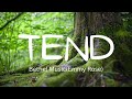 Tend| Bethel Music (Emmy Rose)| Lyric video