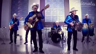 Los Cardenales de Nuevo León - Ese (Video Oficial)