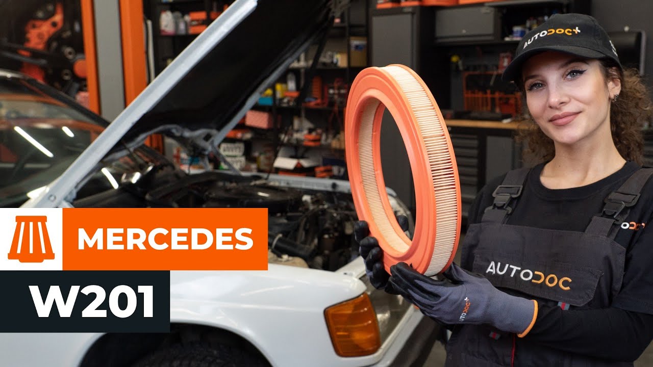 Kako zamenjati avtodel zračni filter na avtu Mercedes W201 – vodnik menjave