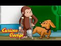 George Breaks His Leg Curious George Kids Cartoon Kids Movies Videos For Kids