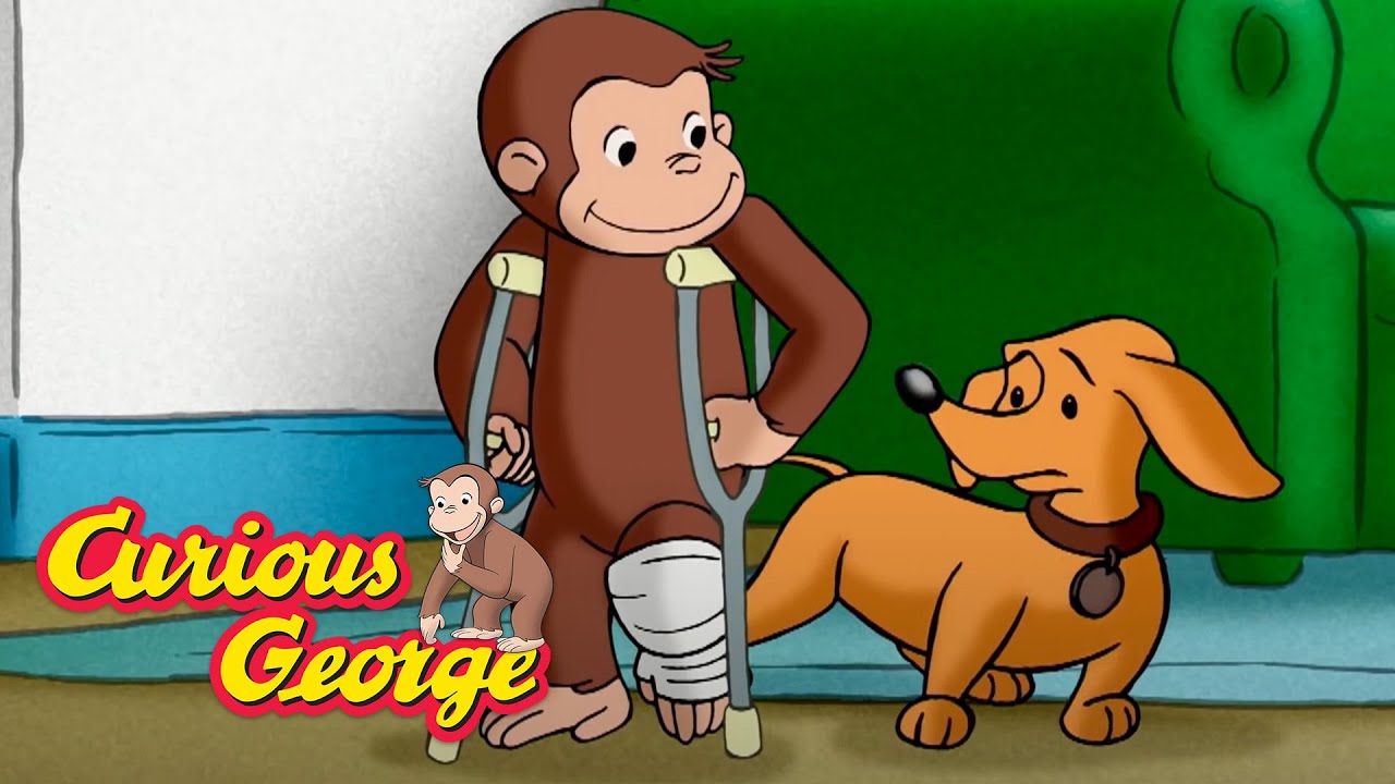 George Breaks His Leg! __ Curious George __ Kids Cartoon __ Kids Movies __Videos for Kids