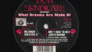 Dub Syndicate Productions - Janets Revenge