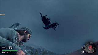 デイズゴーン　クライアー（カラス）のバグ　DAYS GONE