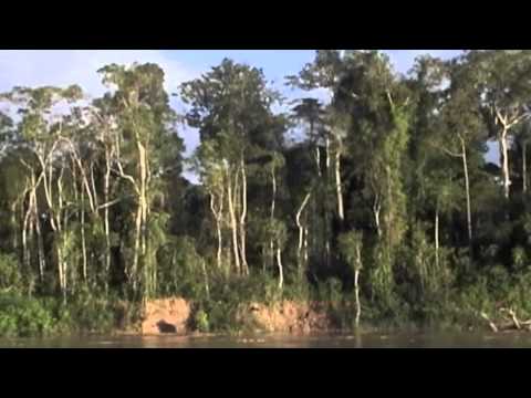 Padrinho Alfredo e a Comunidade 4