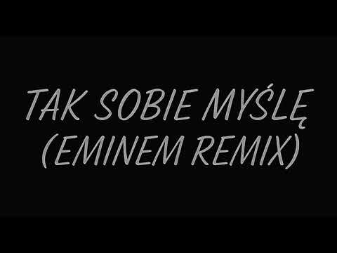 Tak sobie myślę (Eminem remix)