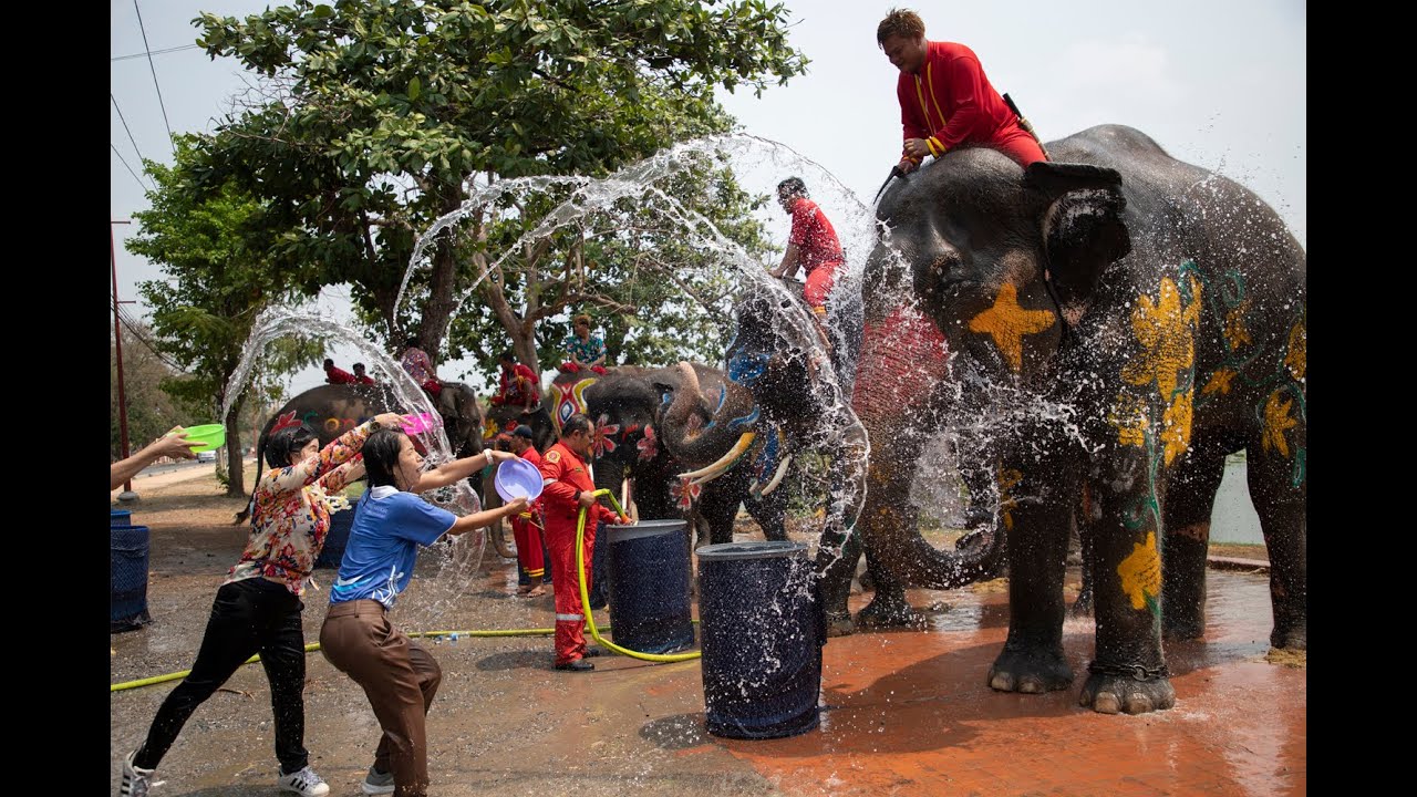 Great Songkran invitation
