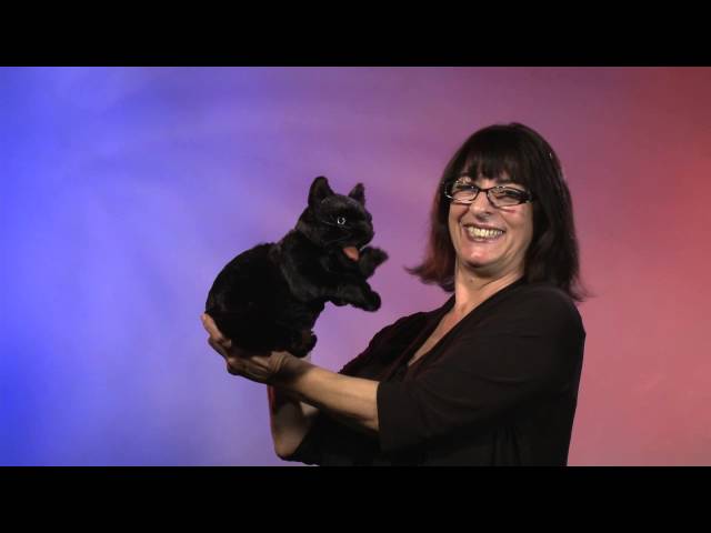 Folkmanis Cat buy at Galaxus