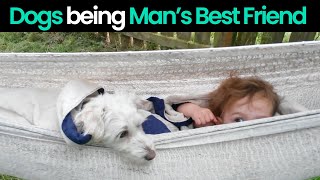Loyal Companions: Heartwarming Moments of Dogs as Man's Best Friend