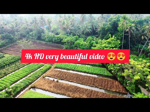 mountain/river/forest#hd drone video/subscribe my you tube channel/[ Areeba Studio]#tag Pakistan