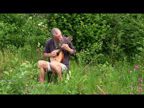 On neidolla punapaula (Uusmaalainen kansansävelmä) – Toomas Rannu (mandoliini) #mandolin