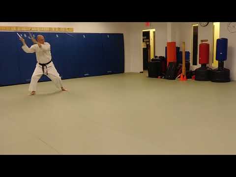 Shodan Sai