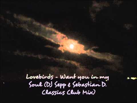 Lovebirds -Want You In My Soul (DJ Sepp & Sebastian D. Classic Club Mix)