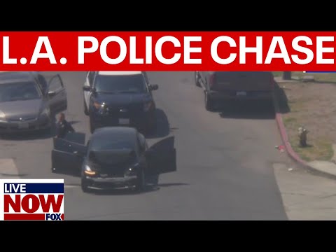 Video | LA police chase: pursuit of burglary suspects in Tesla ends in crash