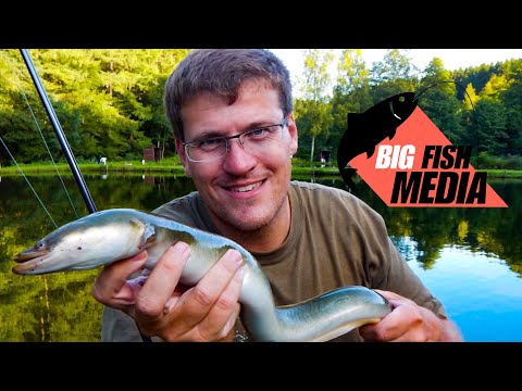 Stream fishing - Eel hunting - Cooperation with ANGELNplus