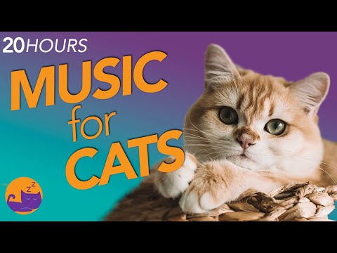 EXTRA LONG Cat Relaxation Music Mix - Specialized Frequencies