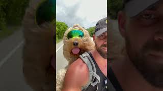 Brodie’s Favorite Activity! #shorts