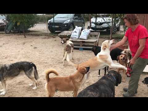 Vídeo de CYRIL