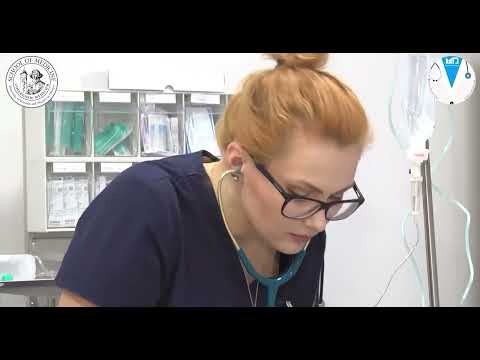 University Of Warmia And Mazury | Poland | MBBS | Study in Europe | Schengen Country | Doctors Aim