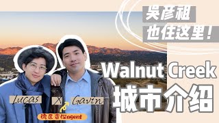 吴彦祖也中意的城市：Walnut Creek究竟有哪些过人之处？湾区核桃溪城市介绍｜湾区硅谷美国买房卖房投资｜巢里有好事Lucas