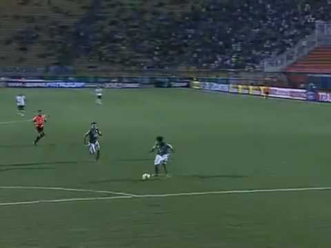 Palmeiras 1 x 0 Linense - Gol Leandro - Paulistão 2013