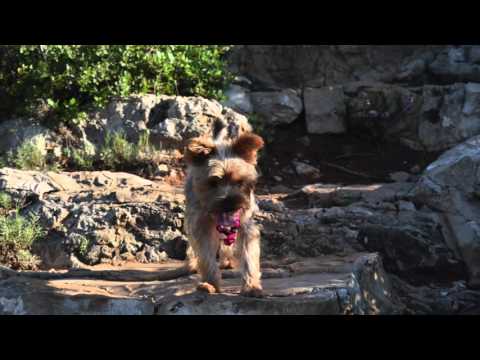 EXCURSIO A LA COVA PARPALLÓ