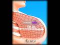Can a muscle stop a bullet..?-Whitebeard edit | no batidão (slowed)  #shorts #onepiece