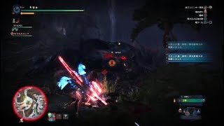 MHWI ナルガクルガ　弓編