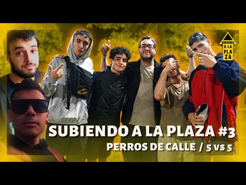 Subiendo a la Plaza #3 | Perros de Calle 5 vs 5 | Plaza Irlanda