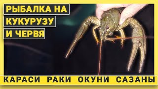 Рыбалка на каналах краснодарского края