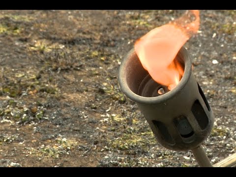 Gedenken an Bücherverbrennung der Nazis in München