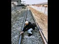 Babydaiz Feat Brotherkupa Walking