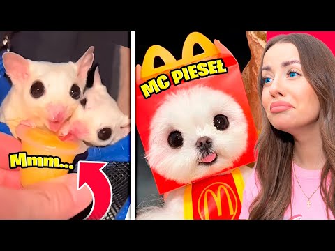 TRY NOT TO GET EMOTIVE ABOUT THE TIKTOK CHALLENGE