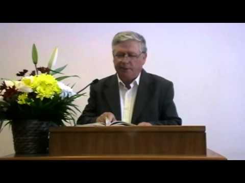 Prindeti vulpile mici si deosebiti duhurile inselatoare -  Nicu Trandafir