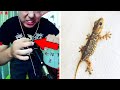 Vlogger makan serangga beracun, hingga pria jatuh ke gunung berapi di Karibia - Baru dari TomoNews Vlogger makan serangga beracun, hingga pria jatuh ke gunung berapi di Karibia - Baru dari TomoNews
