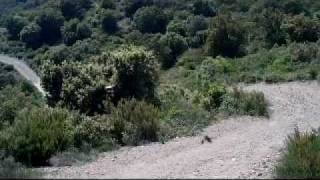 preview picture of video 'Pyrenees 2010'
