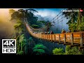 UNBELIEVABLE 4K 120fps HDR Video Dolby Vision 8K 4K TV