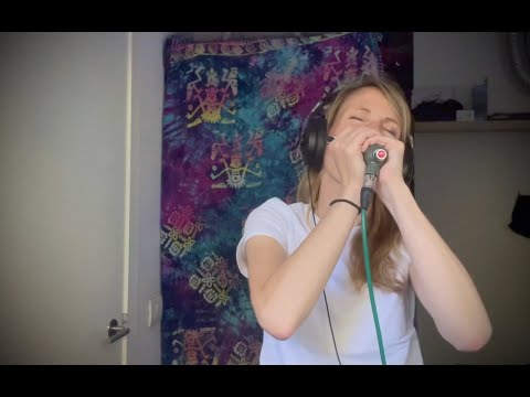 Born in Chicago - Paul Butterfield (amplified harmonica cover Seelien)